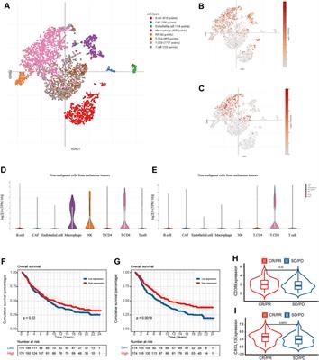 Identification of CD8+ T Cell Related Biomarkers in Ovarian Cancer
